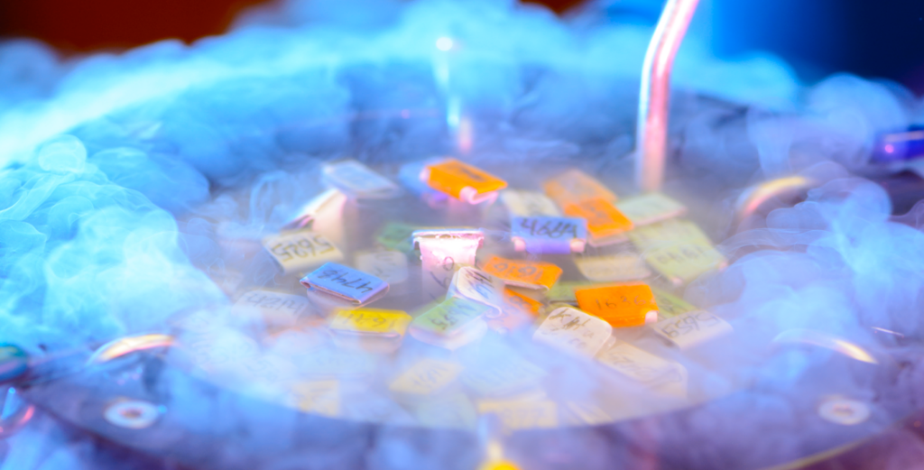 frozen-embryo-transfer-process-bay-ivf-fertility-clinic